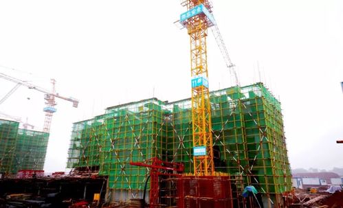 壹號(hào)家書丨北風(fēng)促急,江灣工程加速趕進(jìn)