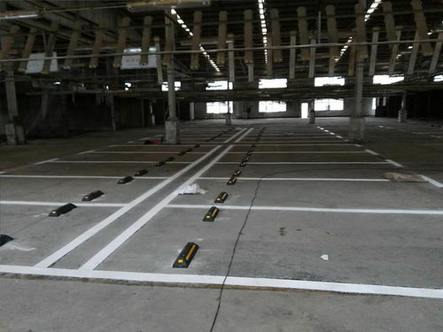 東莞市鳳崗綠道劃線工程隊(duì) 本地實(shí)力公司